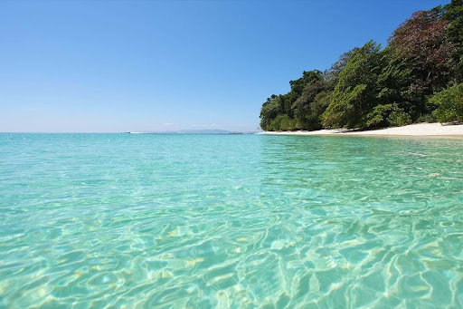 Discover Holidays