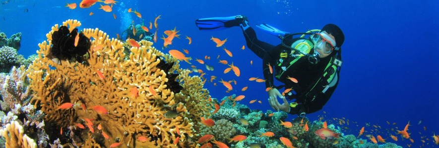 Scuba Diving