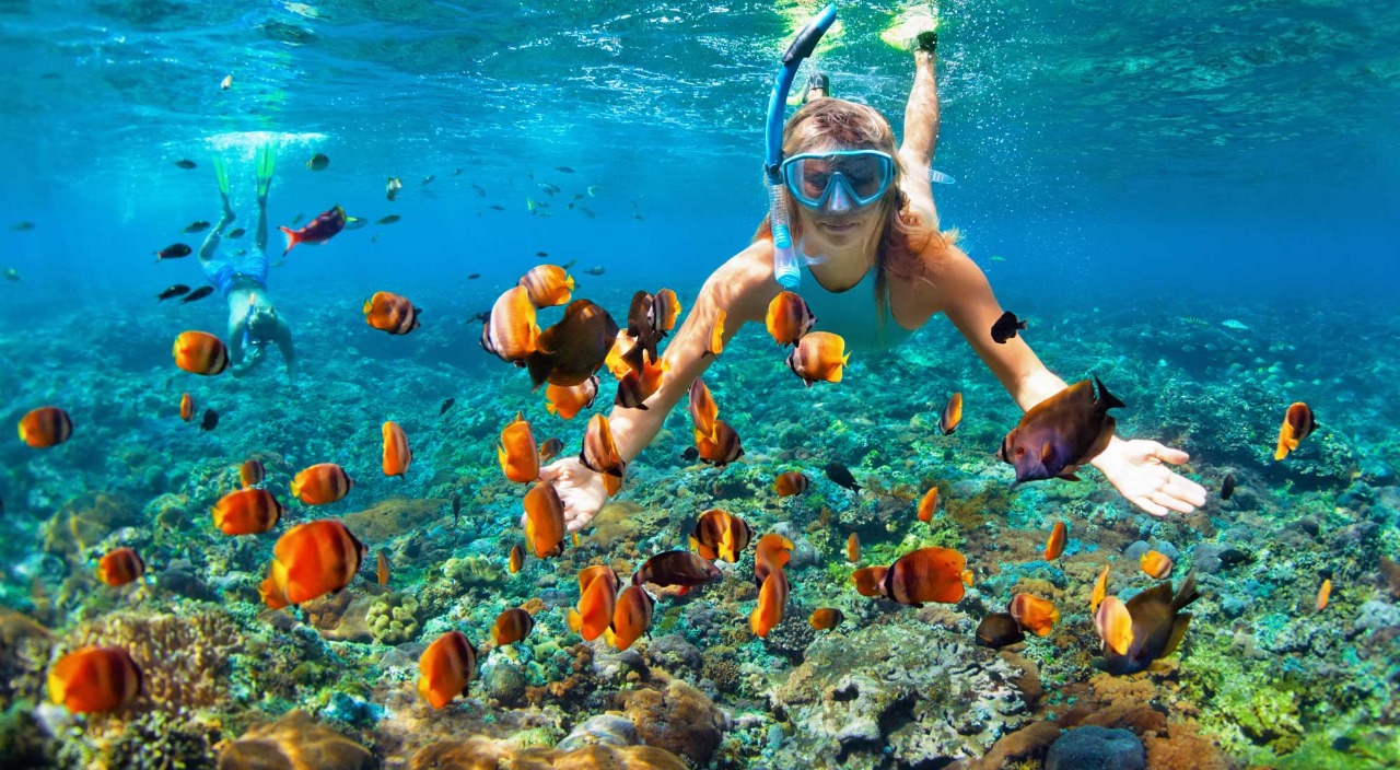 Snorkeling In Andaman