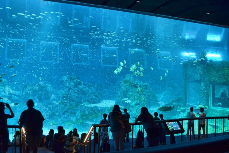 Fisheries Museum