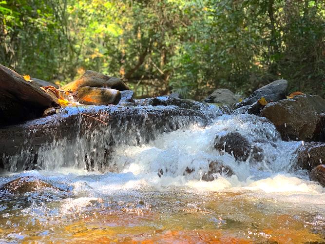 Panchvati Waterfall