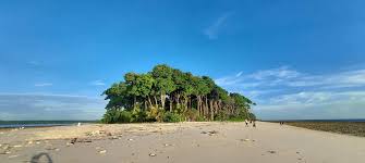 7 NIGHT 8 DAYS ANDAMAN PACKAGE Packages